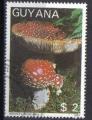 GUYANE 1988 - YT **** - champignons - amanite tue-mouches, amanita muscaria