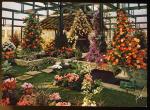 CPM  PARIS  Floralies Internationales de 1969