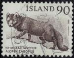 Islande 1980 Oblitr Used Animal Alopex Lagopus Renard Polaire Y&T IS 504 SU