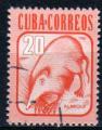 CUBA N 2319 o Y&T 1981 Animaux (Almiqui) Musareigne