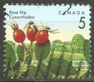 Canada - 1992 - Y&T n 1265 - Obli. - Cynorrhodon - Baies sauvages