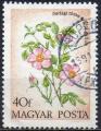 HONGRIE N 2322 o Y&T 1973 Fleurs Cyclamen