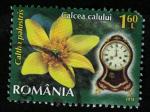 Roumanie 2013 Oblitr rond Used Fleur Caltha Palustris Populage des marais