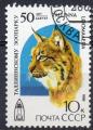 URSS N 5644 o Y&T 1989 Ciquantenaire du jardin zoologique de Tallin (Lynx)
