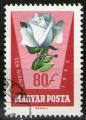 **   HONGRIE    80 f  1962  YT-1519  " Rose hybride "   (o)   **