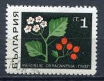 Timbre BULGARIE Rpublique Populaire 1968  Obl N 1648  Y&T  Fleurs  Mespilus