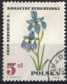 Pologne 1967 Oblitr Used Plante Fleur Iris Sibirica Iris de Sibrie SU