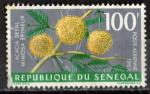 Sngal 1967; Y&T n PA 59; 100F, fleur, acacia