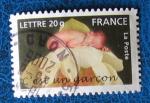 FR 2005 - Nr 3804 - C'Est un Garon (Obl)