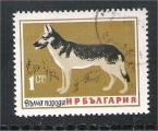 Bulgaria - Scott 1348  dog / chien