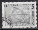 EUBG - 1989 - Yvert n 3286 - Chats :Persan (Felis silvestris catus)