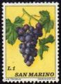 Saint Marin 1973 - Fruit : raisin/gappe - YT 587 **