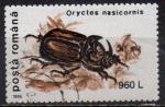 ROUMANIE N 4316 o Y&T 1996 Insectes Orytes nasicornis)