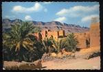 CPM neuve MAROC  Sud Marocain  Kasbah dans la Valle du Dra