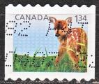 CANADA N 2805 de 2013 oblitr "le faon du cerf"