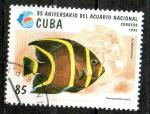 Cuba Yvert N3435 Oblitr 1995 Poisson Aquarium national