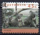 AUSTRALIE N 1371 o Y&T 1994 Koalas (famille)