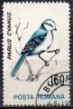 ROUMANIE N 4073 o Y&T 1993 Oiseaux (Parus cyanus)