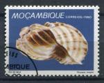 Timbre Rpublique du MOZAMBIQUE 1980  Obl  N 773  Y&T  Coquillages