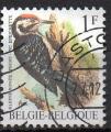 Belgique - Y.T. 2349 -  Oiseau : Pic epeichette - oblitr - anne 1990