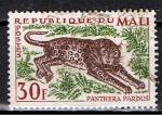 Mali / 1965 / Léopard / YT n° 74, oblitéré