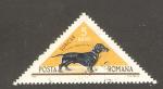 Romania - Scott 1807    dog / chien