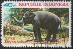 Indonsie 1977 Animaux Sauvages lphant Elephas maximus indicus Asie SU