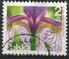 Pologne 2016 Oblitr Used Fleurs et Plantes Iris
