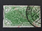 Pakistan 1954 - Y&T 70 obl.