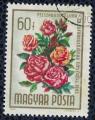 Hongrie 1965 Oblitr Used Fleurs Roses Rosa Hybrida SU