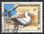 NOUVELLE CALEDONIE N 399 o Y&T 1976 Oiseaux Fous (Sula dactylatra)