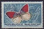 Madagascar (Rp.) 1960 - Papillon (clotis zoe) 0f30 - YT 341 *