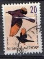 Isral : Y.T.1225 -Oiseaux : Bulbul des jardins- oblitr - anne 1997