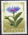 HONGRIE N 1884 o Y&T 1967 Fleurs (Centaurea mollius)