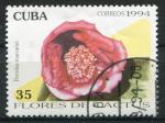 Timbre de CUBA 1994  Obl  N 3388  Y&T  Fleurs Cactus