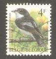 Belgium - Scott 1435    bird / oiseau