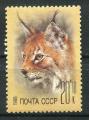 Timbre Russie & URSS 1988  Neuf **  N 5562  Y&T  Lynx