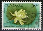 **   SENEGAL   50 F  1982  YT-562  " Fleur de nnuphar "  (o)   ** 
