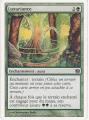 Carte Magic The Gathering / Luxuriance / 9 Edition.