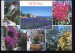 CPM 83 en Provence Multi vues Fleurs