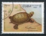 Timbre de CUBA 1983  Obl  N 2464  Y&T   Tortue