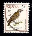 Kenya - Scott 600  bird / oiseau