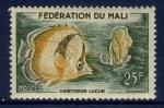 Mali 1960 - YT 6  - neuf - chaetodon luciae (poisson)