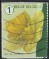 Belgique 2016 Oblitr Used Flower Fleur Daffodil Jonquille Narcissus SU