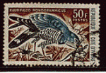 Cte Ivoire 1965 - Y&T 241 - oblitr - oiseau buzzard lizard