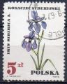 POLOGNE N 1629 o Y&T 1967 Fleurs (Iris siberica)
