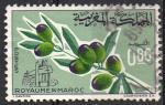 Maroc 1966; Y&T n 510; 0,60d, flore, arbre oilvier