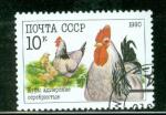Russie 1990 Y&T 5765 oblitr Coq, poule, poussins