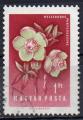 HONGRIE N 1253 o Y&T 1958 Fleurs (Rose de Noel)