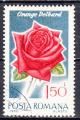 ROUMANIE -1970 - Roses - Yvert 2557 Oblitr